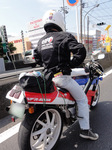 DSC00366s.jpg