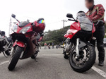 DSC03435s.jpg